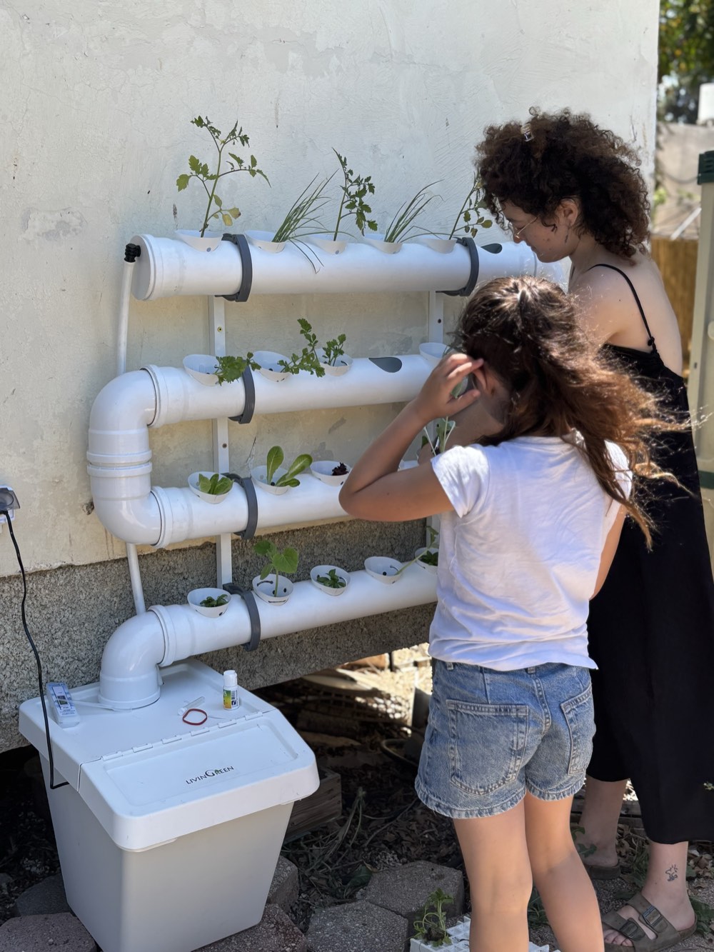 התקנת מערכת גידול ביתית — ליווי אישי