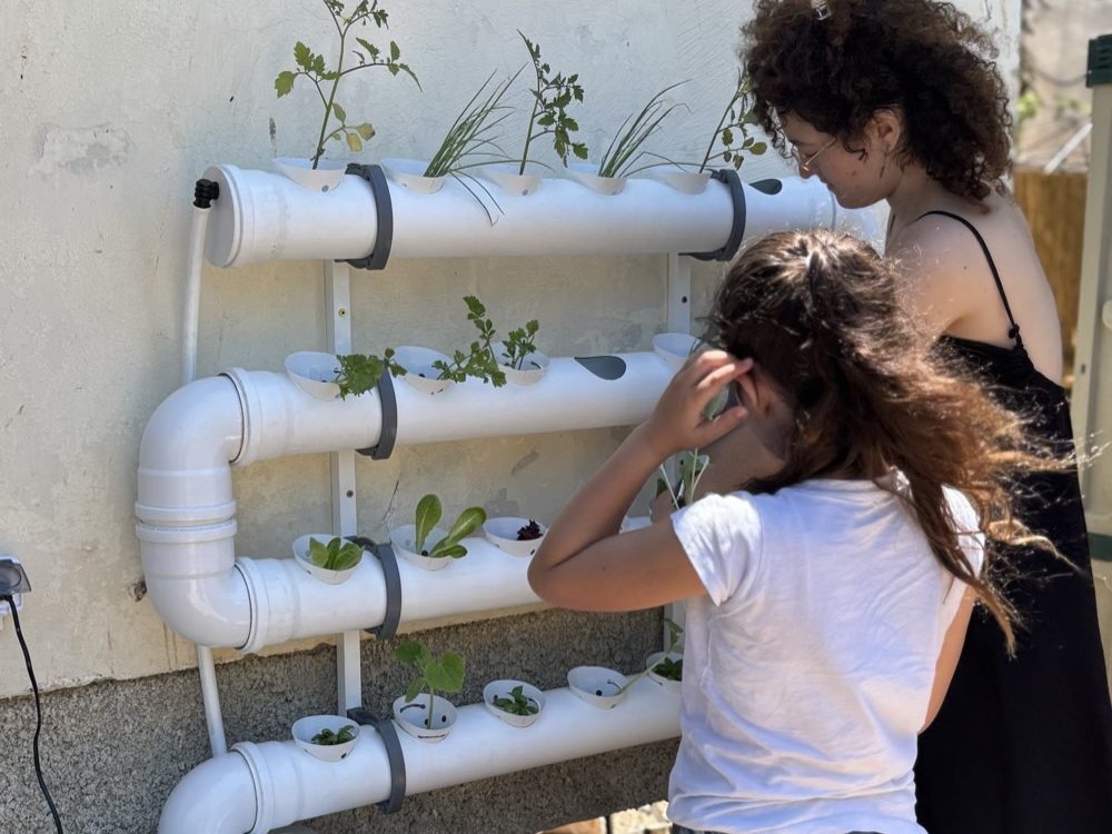 שותלים יחד את הסבב הראשון במערכת גידול ביתית